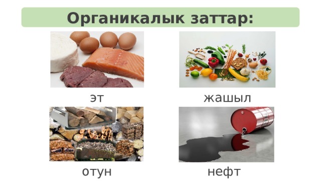 Органикалык заттар: эт жашылча отун нефть 