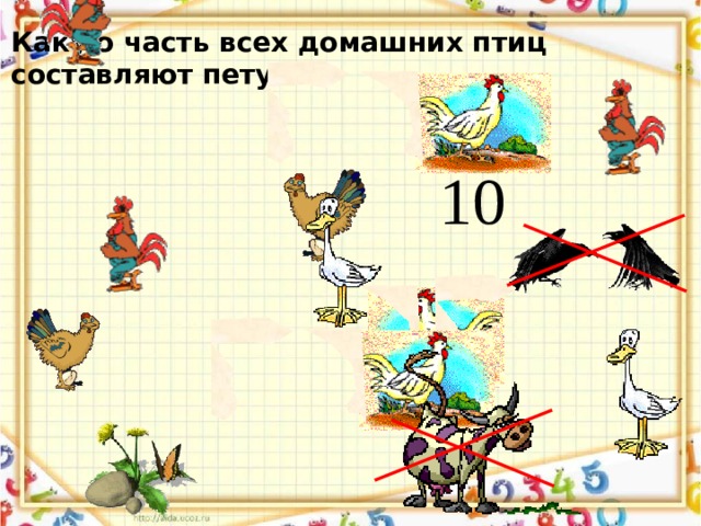 Какую часть всех домашних птиц составляют петухи?  