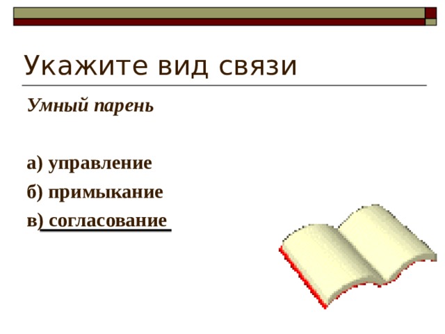Укажите вид связи Умный парень  а) управление б) примыкание в) согласование 