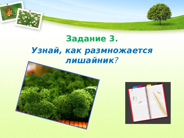 Задание 3. Узнай, как размножается лишайник ?  