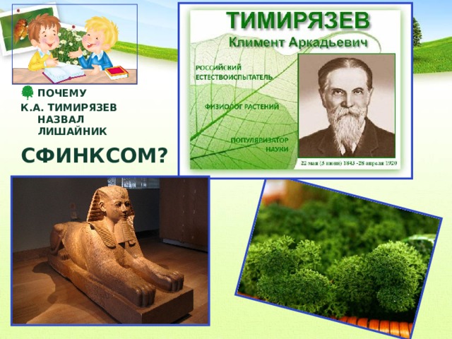 ПОЧЕМУ К.А. ТИМИРЯЗЕВ  НАЗВАЛ  ЛИШАЙНИК СФИНКСОМ?  
