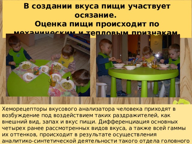 В создании вкуса пищи участвует осязание. Оценка пищи происходит по механическим и тепловым признакам. Хеморецепторы вкусового анализатора человека приходят в возбуждение под воздействием таких раздражителей, как внешний вид, запах и вкус пищи. Дифференциация основных четырех ранее рассмотренных видов вкуса, а также всей гаммы их оттенков, происходит в результате осуществления аналитико-синтетической деятельности такого отдела головного мозга, как кора больших полушарий. 