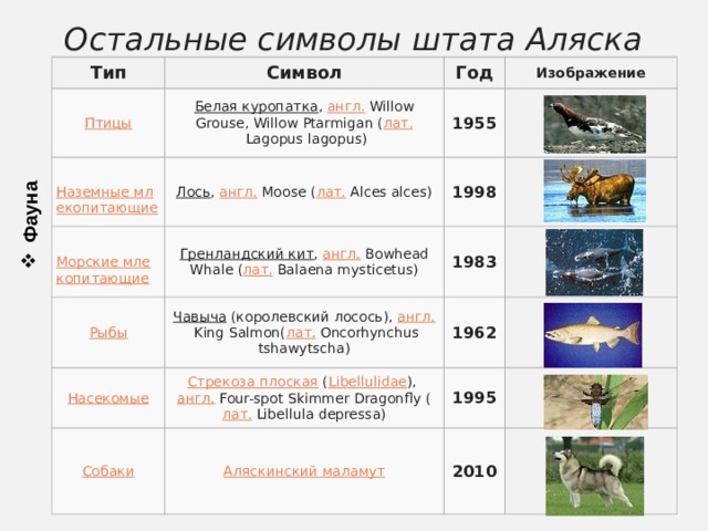 Фауна Остальные символы штата Аляска Тип Символ Белая куропатка ,  англ.  Willow Grouse, Willow Ptarmigan ( лат.  Lagopus lagopus) Год Лось ,  англ.  Moose ( лат.  Alces alces) 1955 Изображение 1998 Гренландский кит ,  англ.  Bowhead Whale ( лат.  Balaena mysticetus) Чавыча   (королевский лосось),  англ.  King Salmon( лат.  Oncorhynchus tshawytscha) 1983 Стрекоза плоская   ( Libellulidae ),  англ.  Four-spot Skimmer Dragonfly ( лат.  Libellula depressa) 1962 1995 2010 
