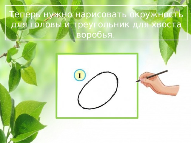  Теперь нужно нарисовать окружность для головы и треугольник для хвоста воробья .  