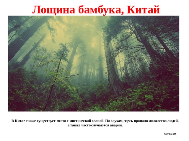 Лощина бамбука, Китай В Китае также существует место с мистической славой. По слухам, здесь пропало множество людей, а также часто случаются аварии. 