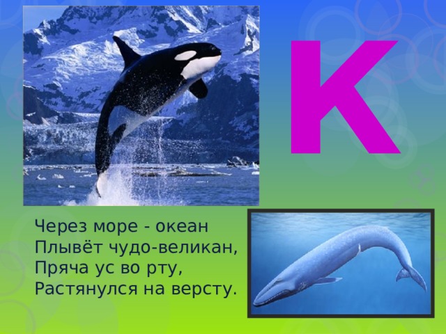 К Через море - океан  Плывёт чудо-великан,  Пряча ус во рту,  Растянулся на версту. 