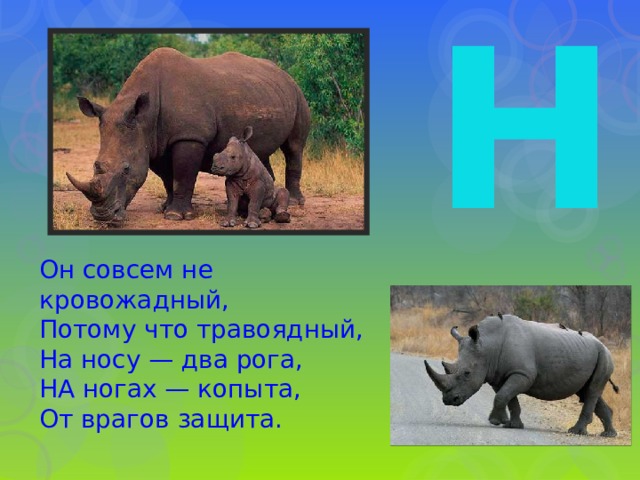 Н Он совсем не кровожадный,  Потому что травоядный,  На носу — два рога,  НА ногах — копыта,  От врагов защита. 