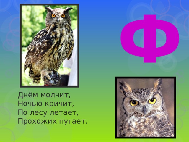 Ф Днём молчит,  Ночью кричит,  По лесу летает,  Прохожих пугает. 