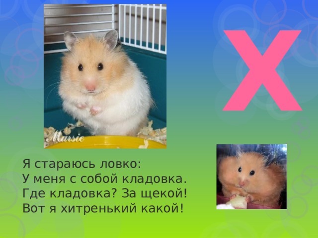 Х Я стараюсь ловко:  У меня с собой кладовка.  Где кладовка? За щекой!  Вот я хитренький какой! 