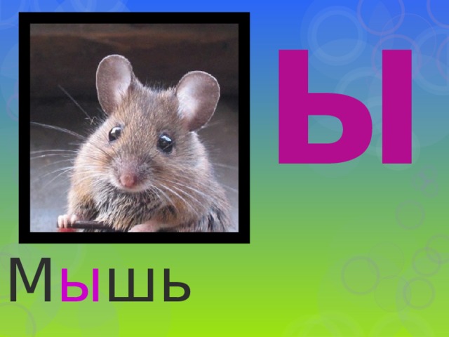 Ы М ы шь 