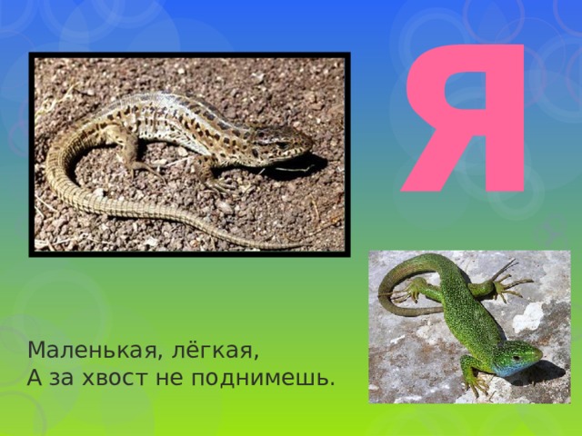 Я Маленькая, лёгкая,  А за хвост не поднимешь. 