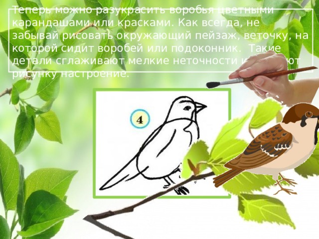 Теперь можно разукрасить воробья цветными карандашами или красками. Как всегда, не забывай рисовать окружающий пейзаж, веточку, на которой сидит воробей или подоконник. Такие детали сглаживают мелкие неточности и придают рисунку настроение.  