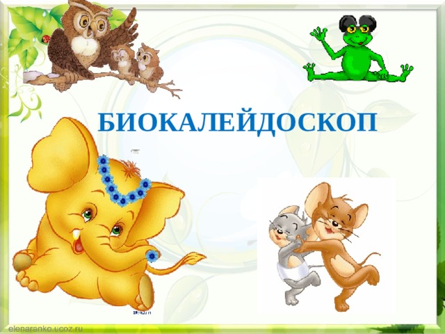 БИОКАЛЕЙДОСКОП 