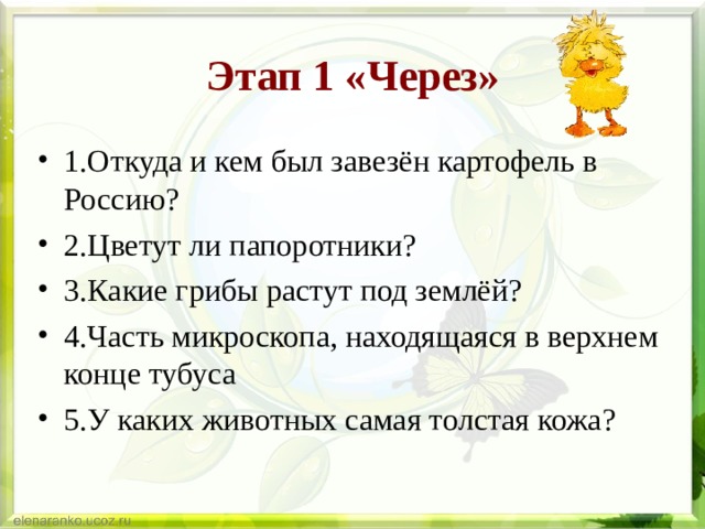 Этап 1 «Через» 1.Откуда и кем был завезён картофель в Россию? 2.Цветут ли папоротники? 3.Какие грибы растут под землёй? 4.Часть микроскопа, находящаяся в верхнем конце тубуса 5.У каких животных самая толстая кожа? 