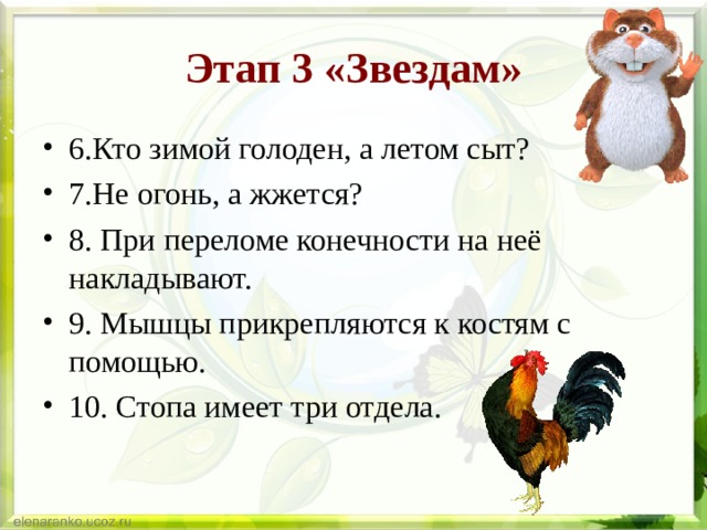 Этап 3 «Звездам» 6.Кто зимой голоден, а летом сыт? 7.Не огонь, а жжется? 8. При переломе конечности на неё накладывают. 9. Мышцы прикрепляются к костям с помощью. 10. Стопа имеет три отдела.  