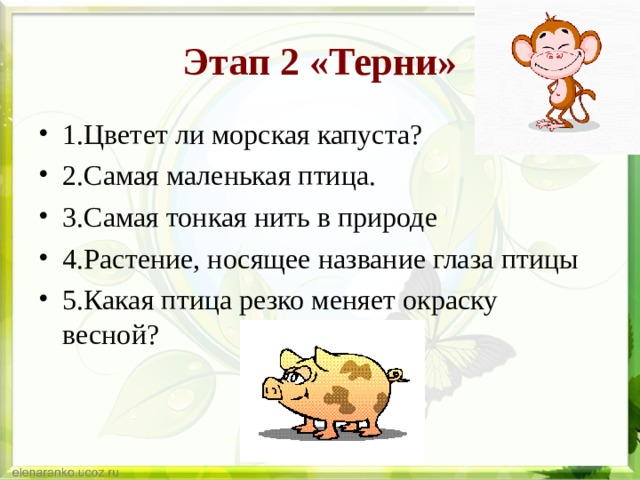 Этап 2 «Терни» 1.Цветет ли морская капуста? 2.Самая маленькая птица. 3.Самая тонкая нить в природе 4.Растение, носящее название глаза птицы 5.Какая птица резко меняет окраску весной?  