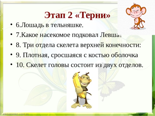 Этап 2 «Терни» 6.Лошадь в тельняшке. 7.Какое насекомое подковал Левша? 8. Три отдела скелета верхней конечности: 9. Плотная, сросшаяся с костью оболочка 10. Скелет головы состоит из двух отделов.  
