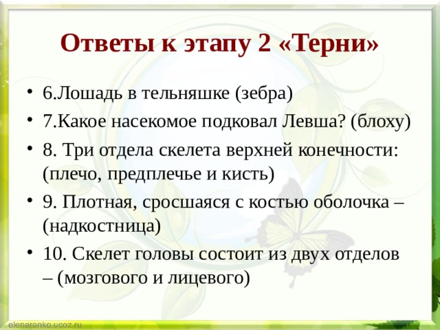 Ответы к этапу 2 «Терни» 6.Лошадь в тельняшке (зебра) 7.Какое насекомое подковал Левша? (блоху) 8. Три отдела скелета верхней конечности: (плечо, предплечье и кисть) 9. Плотная, сросшаяся с костью оболочка – (надкостница) 10. Скелет головы состоит из двух отделов – (мозгового и лицевого)  