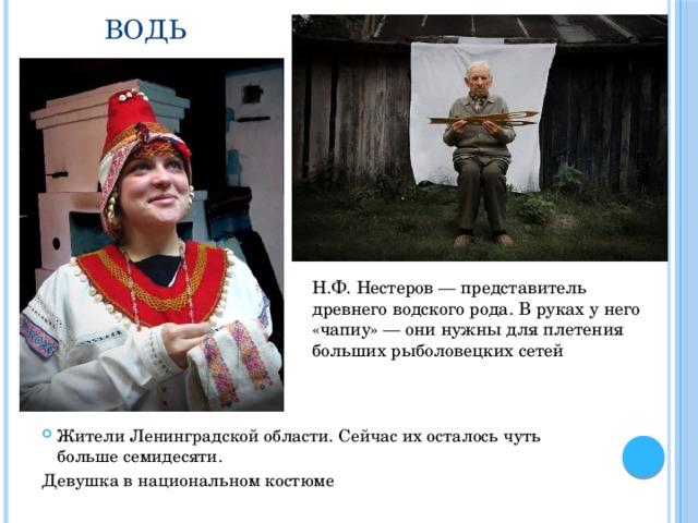 Водь Н.Ф. Нестеров — представитель древнего водского рода. В руках у него «чапиу» — они нужны для плетения больших рыболовецких сетей Жители Ленинградской области. Сейчас их осталось чуть больше семидесяти. Девушка в национальном костюме 