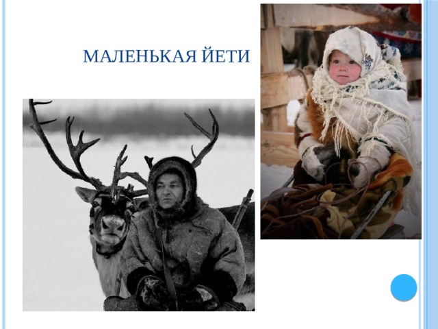 Маленькая йети 