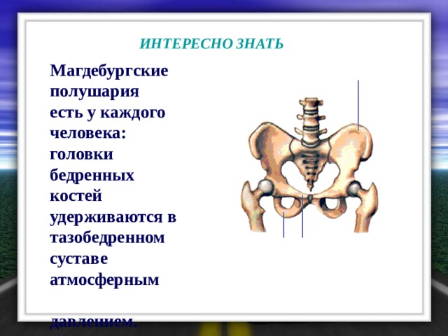   ИНТЕРЕСНО ЗНАТЬ   Магдебургские полушария есть у каждого человека: головки бедренных костей удерживаются в тазобедренном суставе атмосферным давлением. 