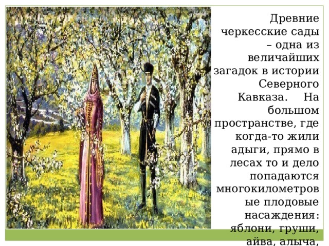  Древние черкесские сады – одна из величайших загадок в истории Северного Кавказа.  На большом пространстве, где когда-то жили адыги, прямо в лесах то и дело попадаются многокилометровые плодовые насаждения: яблони, груши, айва, алыча, орешник… 