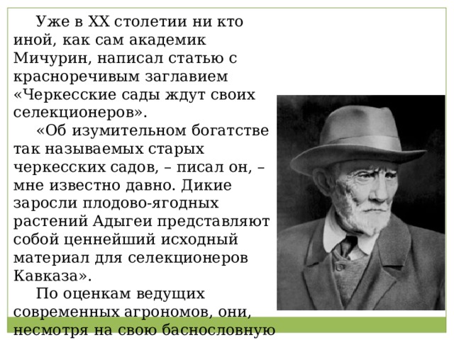  Уже в XX столетии ни кто иной, как сам академик Мичурин, написал статью с красноречивым заглавием «Черкесские сады ждут своих селекционеров».  «Об изумительном богатстве так называемых старых черкесских садов, – писал он, – мне известно давно. Дикие заросли плодово-ягодных растений Адыгеи представляют собой ценнейший исходный материал для селекционеров Кавказа».  По оценкам ведущих современных агрономов, они, несмотря на свою баснословную древность, до сих пор плодоносят. 