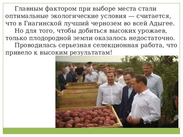  Главным фактором при выборе места стали оптимальные экологические условия — считается, что в Гиагинской лучший чернозем во всей Адыгее.  Но для того, чтобы добиться высоких урожаев, только плодородной земли оказалось недостаточно.  Проводилась серьезная селекционная работа, что привело к высоким результатам! 
