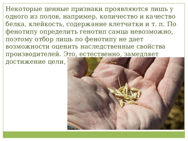 Некоторые ценные признаки проявляются лишь у одного из полов, например, количество и качество белка, клейкость, содержание клетчатки и т. п. По фенотипу определить генотип самца невозможно, поэтому отбор лишь по фенотипу не дает возможности оценить наследственные свойства производителей. Это, естественно, замедляет достижение цели, намеченной селекционером. 