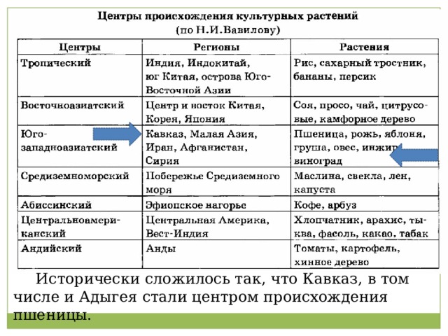  Исторически сложилось так, что Кавказ, в том числе и Адыгея стали центром происхождения пшеницы. 