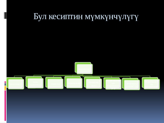 Бул кесиптин мүмкүнчүлүгү Финансист менеджер Банк кызматкери Трейдер,  вонт Инвестор экономист Мамлекеттик кызматкер Компаниянын башкаруучусу Финансы директор 