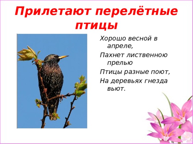 Прилетают перелётные птицы Хорошо весной в апреле, Пахнет лиственною прелью Птицы разные поют, На деревьях гнезда вьют. 