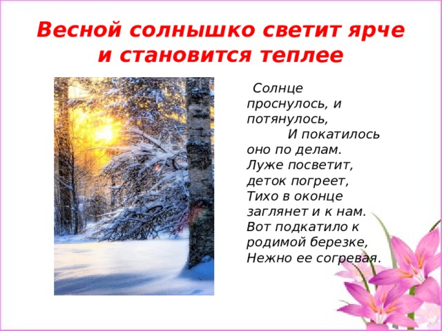 Весной солнышко светит ярче и становится теплее  Солнце проснулось, и потянулось, И покатилось оно по делам.  Луже посветит, деток погреет,  Тихо в оконце заглянет и к нам.  Вот подкатило к родимой березке,  Нежно ее согревая . 