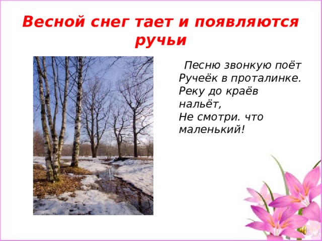 Весной снег тает и появляются ручьи  Песню звонкую поёт  Ручеёк в проталинке.  Реку до краёв нальёт,  Не смотри. что маленький! 