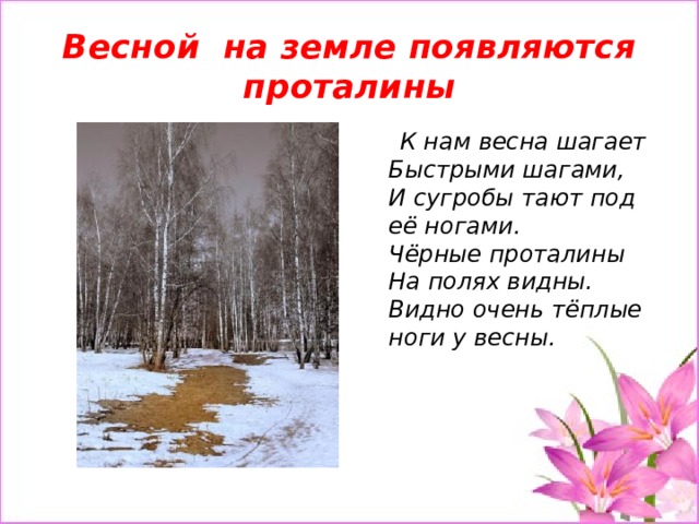Весной на земле появляются проталины  К нам весна шагает  Быстрыми шагами,  И сугробы тают под её ногами.  Чёрные проталины  На полях видны.  Видно очень тёплые ноги у весны. 