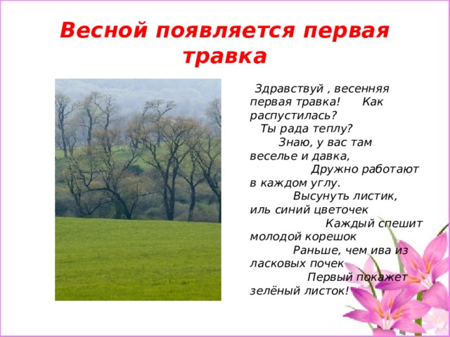 Весной появляется первая травка  Здравствуй , весенняя первая травка! Как распустилась? Ты рада теплу? Знаю, у вас там веселье и давка, Дружно работают в каждом углу. Высунуть листик, иль синий цветочек Каждый спешит молодой корешок Раньше, чем ива из ласковых почек Первый покажет зелёный листок! 