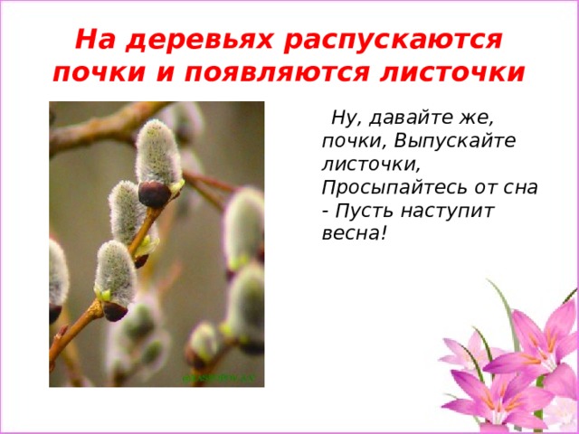 На деревьях распускаются почки и появляются листочки  Ну, давайте же, почки, Выпускайте листочки, Просыпайтесь от сна - Пусть наступит весна!  