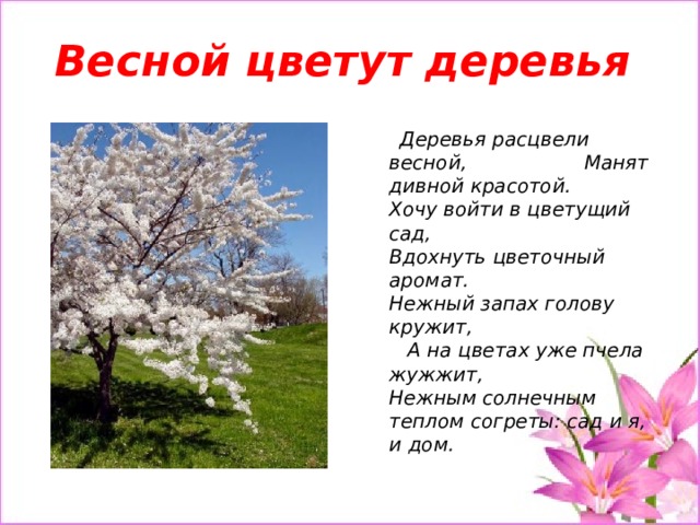 Весной цветут деревья    Деревья расцвели весной, Манят дивной красотой.  Хочу войти в цветущий сад, Вдохнуть цветочный аромат.  Нежный запах голову кружит, А на цветах уже пчела жужжит,  Нежным солнечным теплом согреты: сад и я, и дом. 