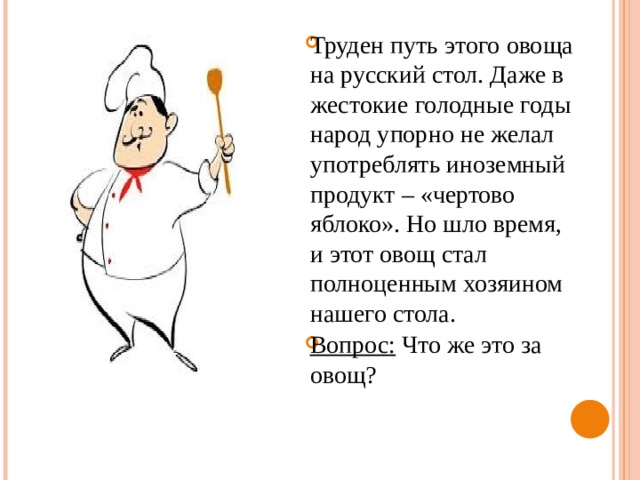 Труден путь этого овоща на русский стол. Даже в жестокие голодные годы народ упорно не желал употреблять иноземный продукт – «чертово яблоко». Но шло время, и этот овощ стал полноценным хозяином нашего стола. Вопрос: Что же это за овощ? 