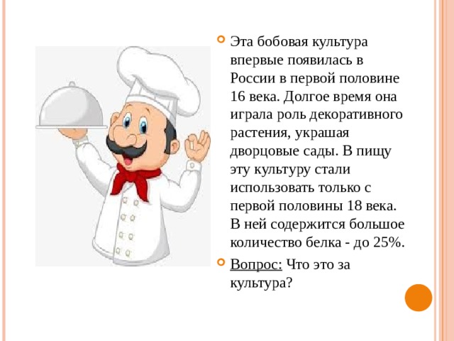 Эта бобовая культура впервые появилась в России в первой половине 16 века. Долгое время она играла роль декоративного растения, украшая дворцовые сады. В пищу эту культуру стали использовать только с первой половины 18 века. В ней содержится большое количество белка - до 25%. Вопрос: Что это за культура? 