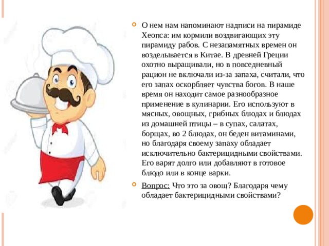 О нем нам напоминают надписи на пирамиде Хеопса: им кормили воздвигающих эту пирамиду рабов. С незапамятных времен он возделывается в Китае. В древней Греции охотно выращивали, но в повседневный рацион не включали из-за запаха, считали, что его запах оскорбляет чувства богов. В наше время он находит самое разнообразное применение в кулинарии. Его используют в мясных, овощных, грибных блюдах и блюдах из домашней птицы – в супах, салатах, борщах, во 2 блюдах, он беден витаминами, но благодаря своему запаху обладает исключительно бактерицидными свойствами. Его варят долго или добавляют в готовое блюдо или в конце варки. Вопрос: Что это за овощ? Благодаря чему обладает бактерицидными свойствами? 