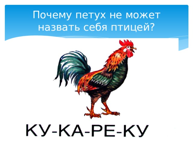 Почему петух не может назвать себя птицей? 