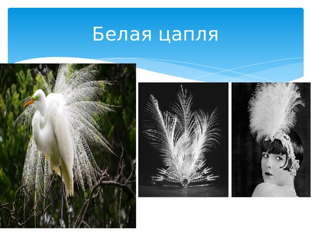 Белая цапля 
