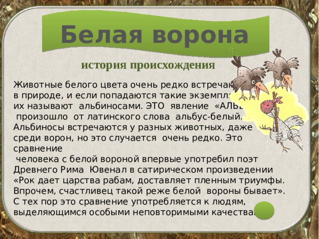 Белая ворона история происхождения Животные белого цвета очень редко встречаются в природе, и если попадаются такие экземпляры, их называют альбиносами. ЭТО явление «АЛЬБИНИЗМ»  произошло от латинского слова альбус-белый. Альбиносы встречаются у разных животных, даже среди ворон, но это случается очень редко. Это сравнение  человека с белой вороной впервые употребил поэт Древнего Рима Ювенал в сатирическом произведении «Рок дает царства рабам, доставляет пленным триумфы. Впрочем, счастливец такой реже белой вороны бывает». С тех пор это сравнение употребляется к людям, выделяющимся особыми неповторимыми качествами. 