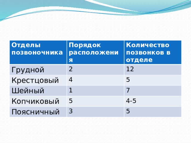 Отделы позвоночника Порядок расположения Грудной Количество позвонков в отделе 2 Крестцовый 4 12 Шейный Копчиковый 5 1 5 7 Поясничный 4-5 3 5 