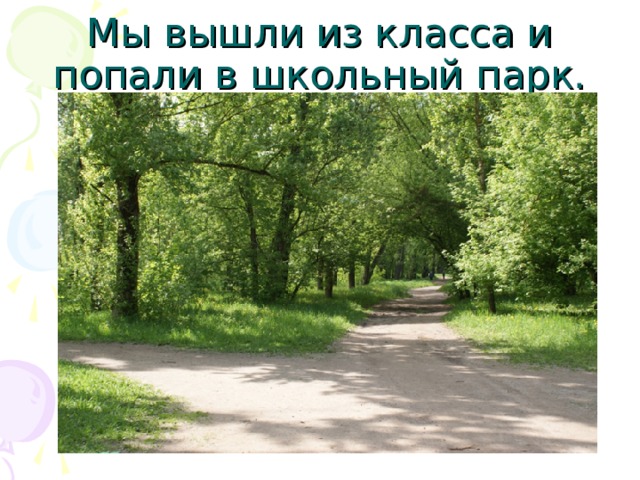 Мы вышли из класса и попали в школьный парк. 