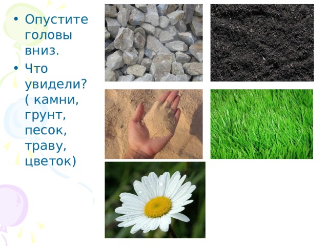 Опустите головы вниз. Что увидели? ( камни, грунт, песок, траву, цветок) 
