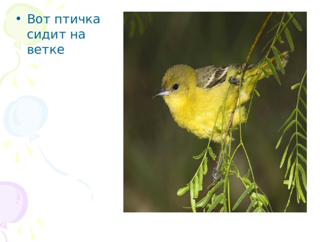 Вот птичка сидит на ветке  