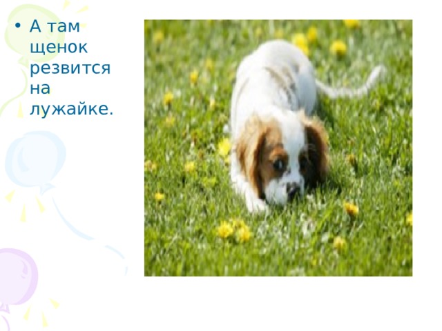 А там щенок резвится на лужайке. 
