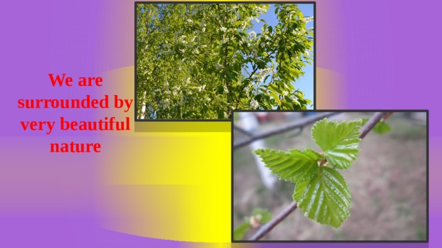 We are surrounded by very beautiful nature  